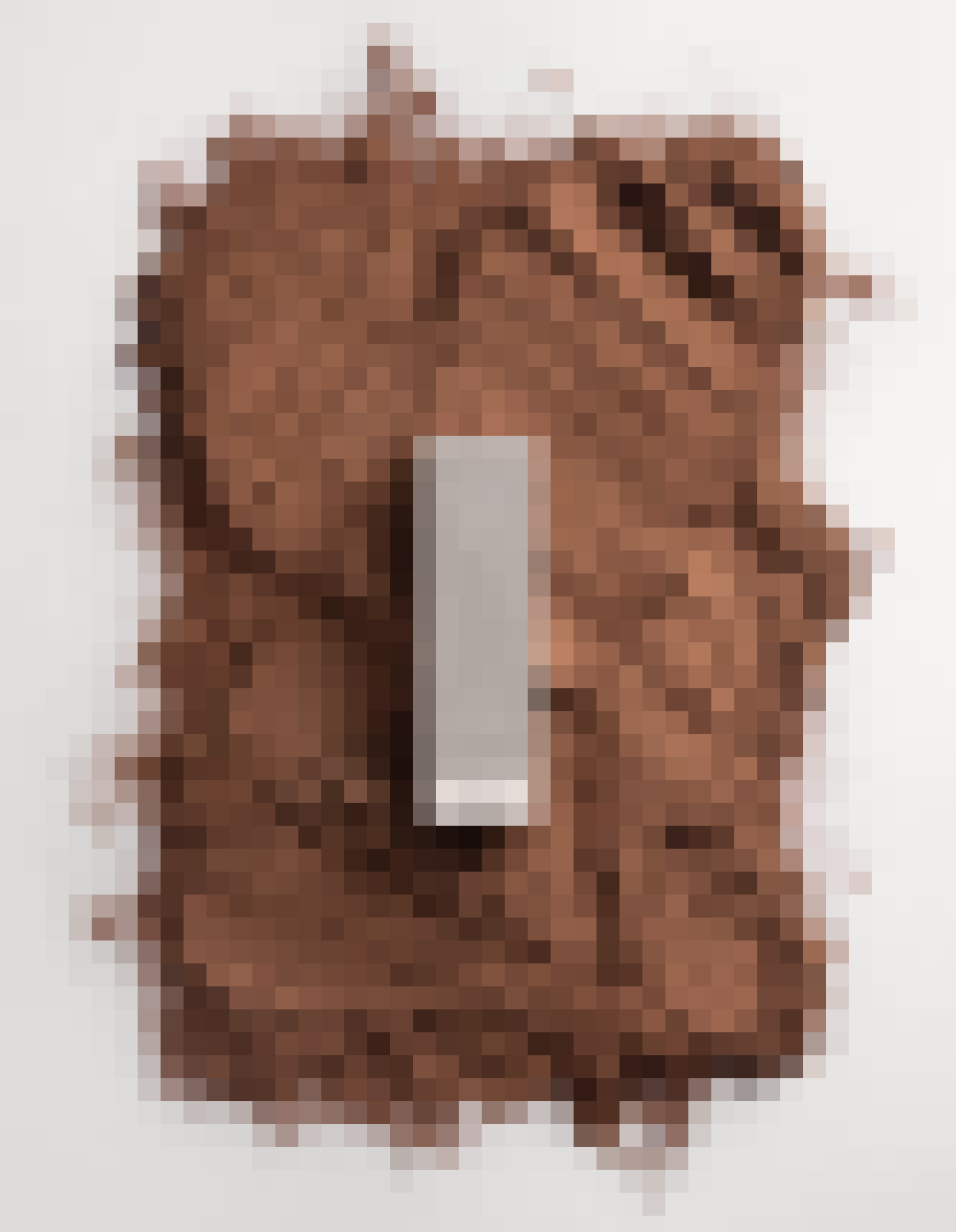 Image Title